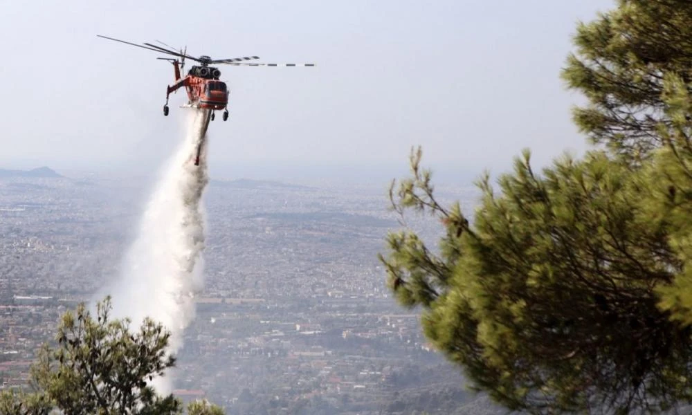 Λάρισα: Φωτιά ξέσπασε σε δασική έκταση στην Αγιά
